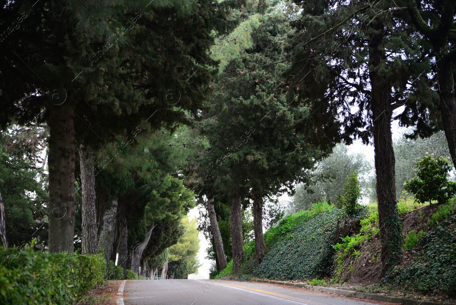 Photo of Beautiful view of asphalt road in city