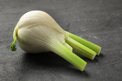 Photo of Fresh raw fennel bulb on gray table, closeup