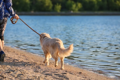 Photo of Young woman with her dog together on beach. Pet care