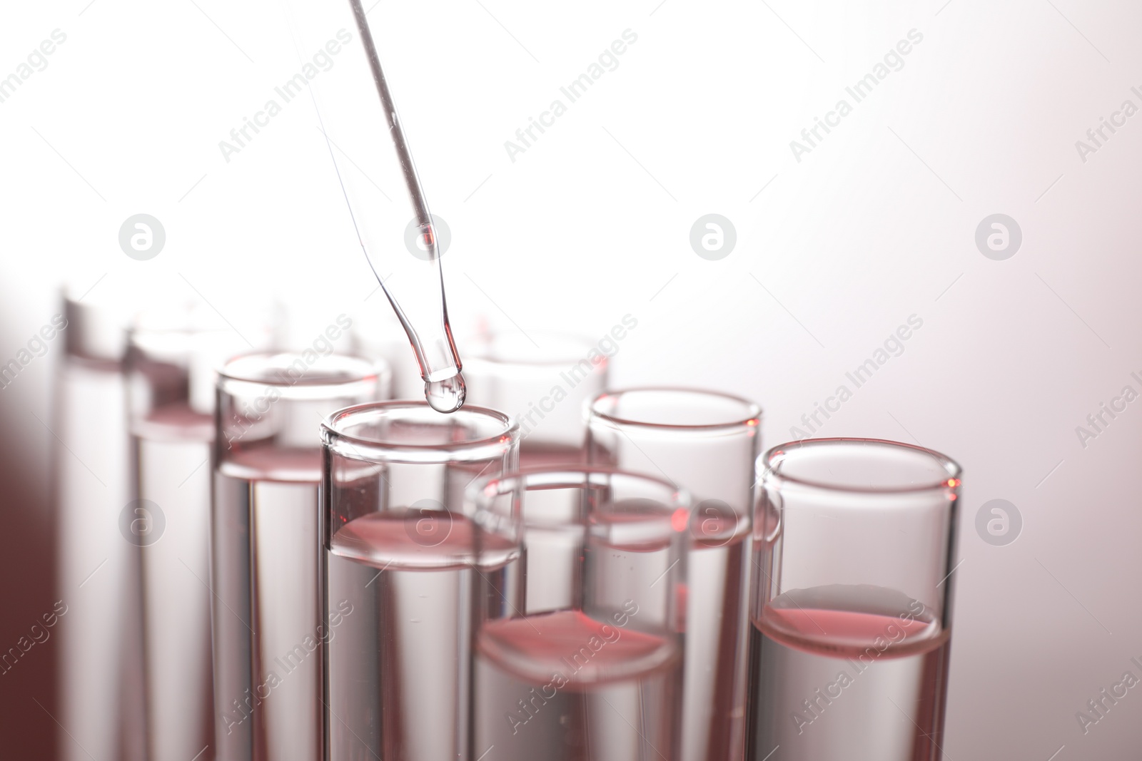 Photo of Dripping liquid from pipette into test tube on light background, closeup