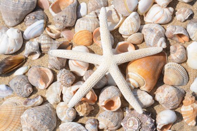 Photo of Beautiful starfish and sea shells on sand, flat lay