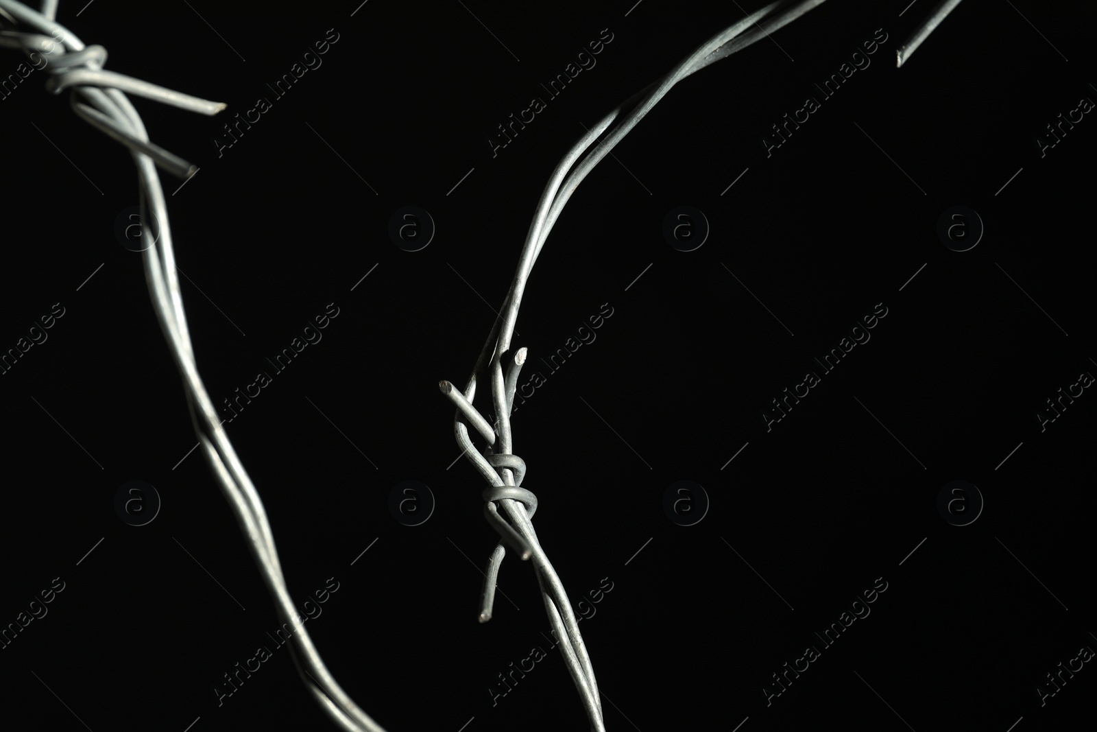 Photo of Metal barbed wire on black background, closeup