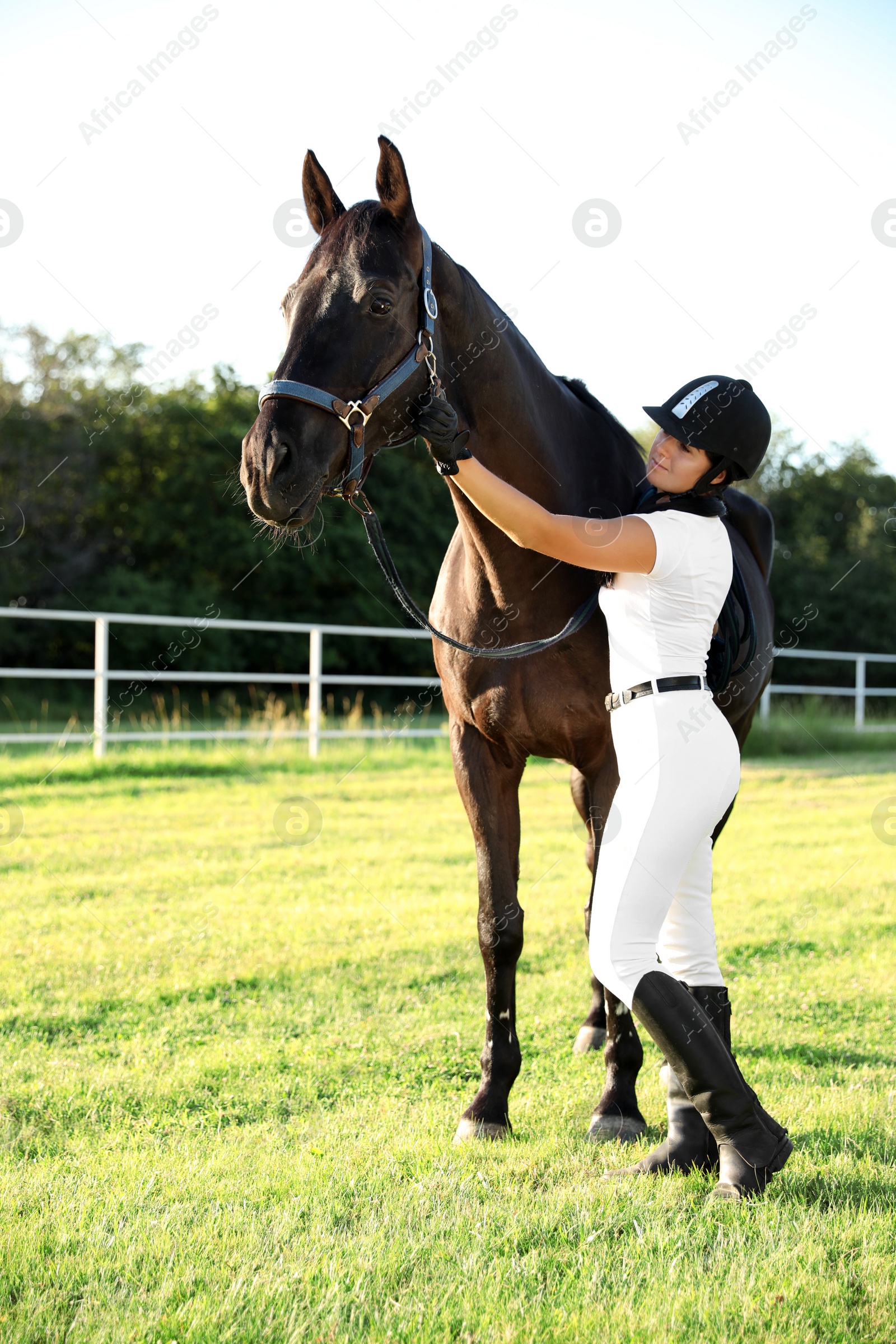 Photo of Young woman in horse riding suit and her beautiful pet outdoors on sunny day