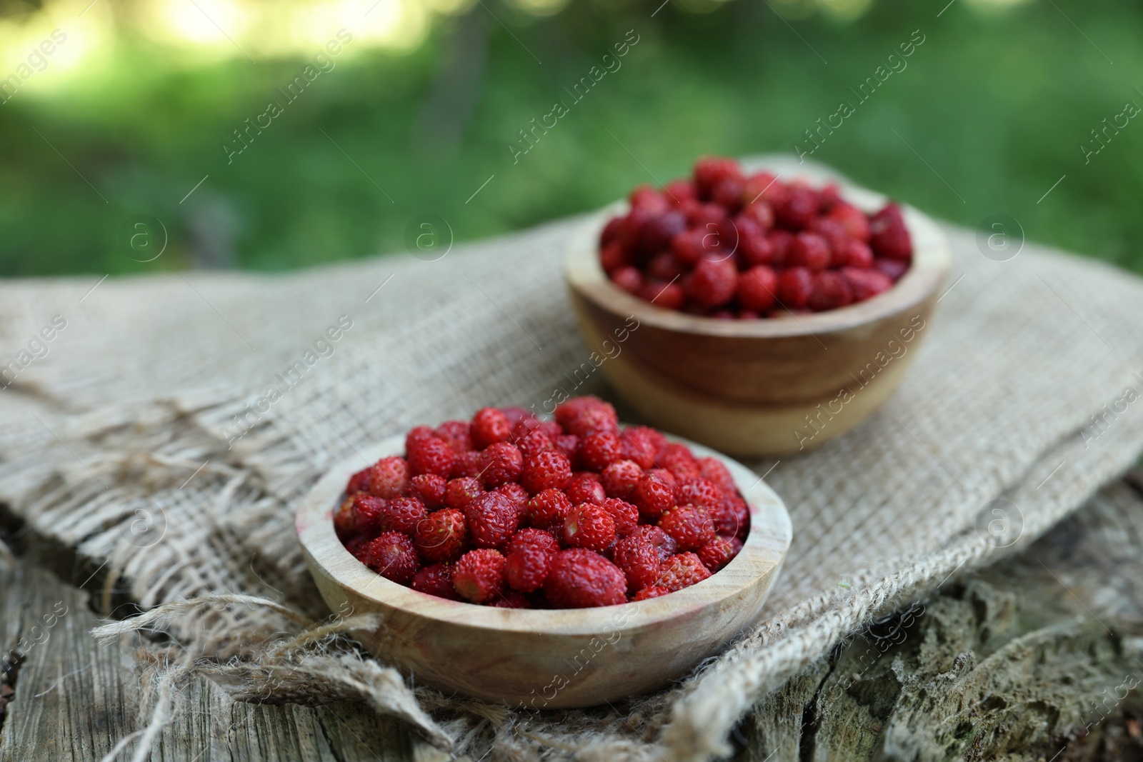 Photo of Tasty wild strawberries in bowls on wooden stump outdoors