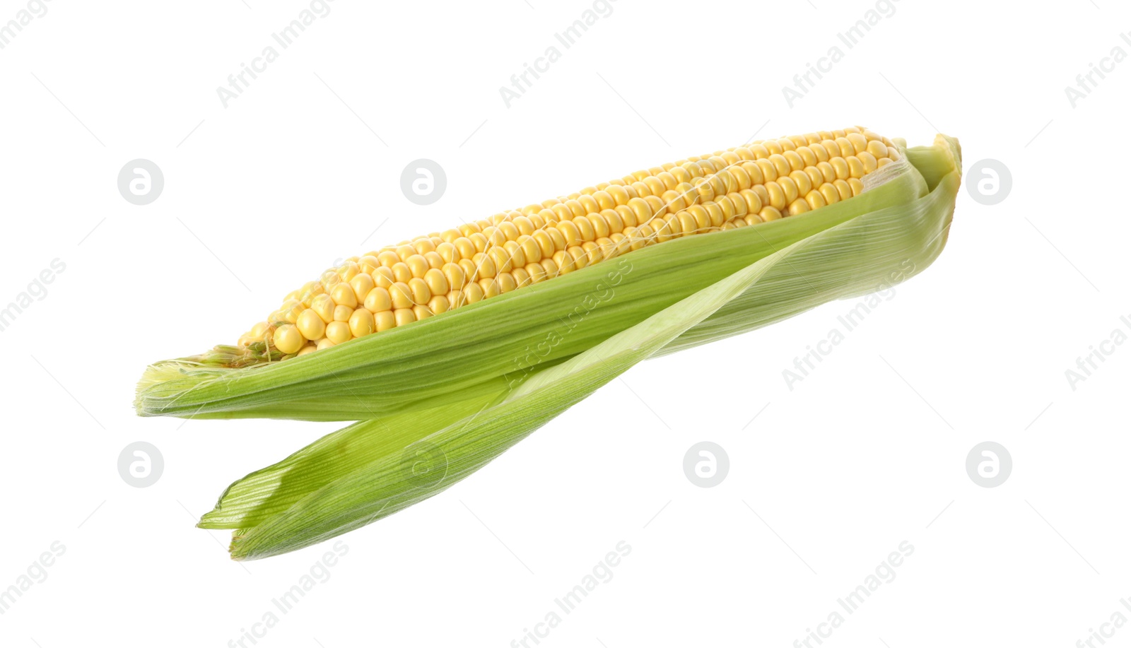 Photo of Ripe corn cob with husk isolated on white