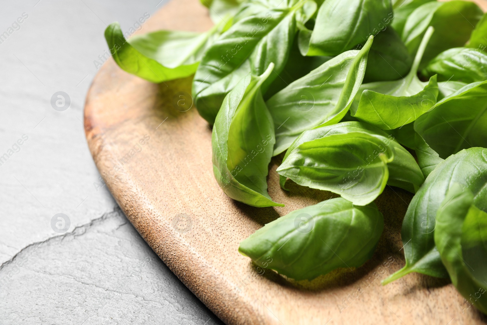 Photo of Fresh basil leaves on grey table, closeup