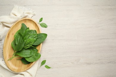 Green broadleaf plantain leaves on white wooden table, flat lay. Space for text