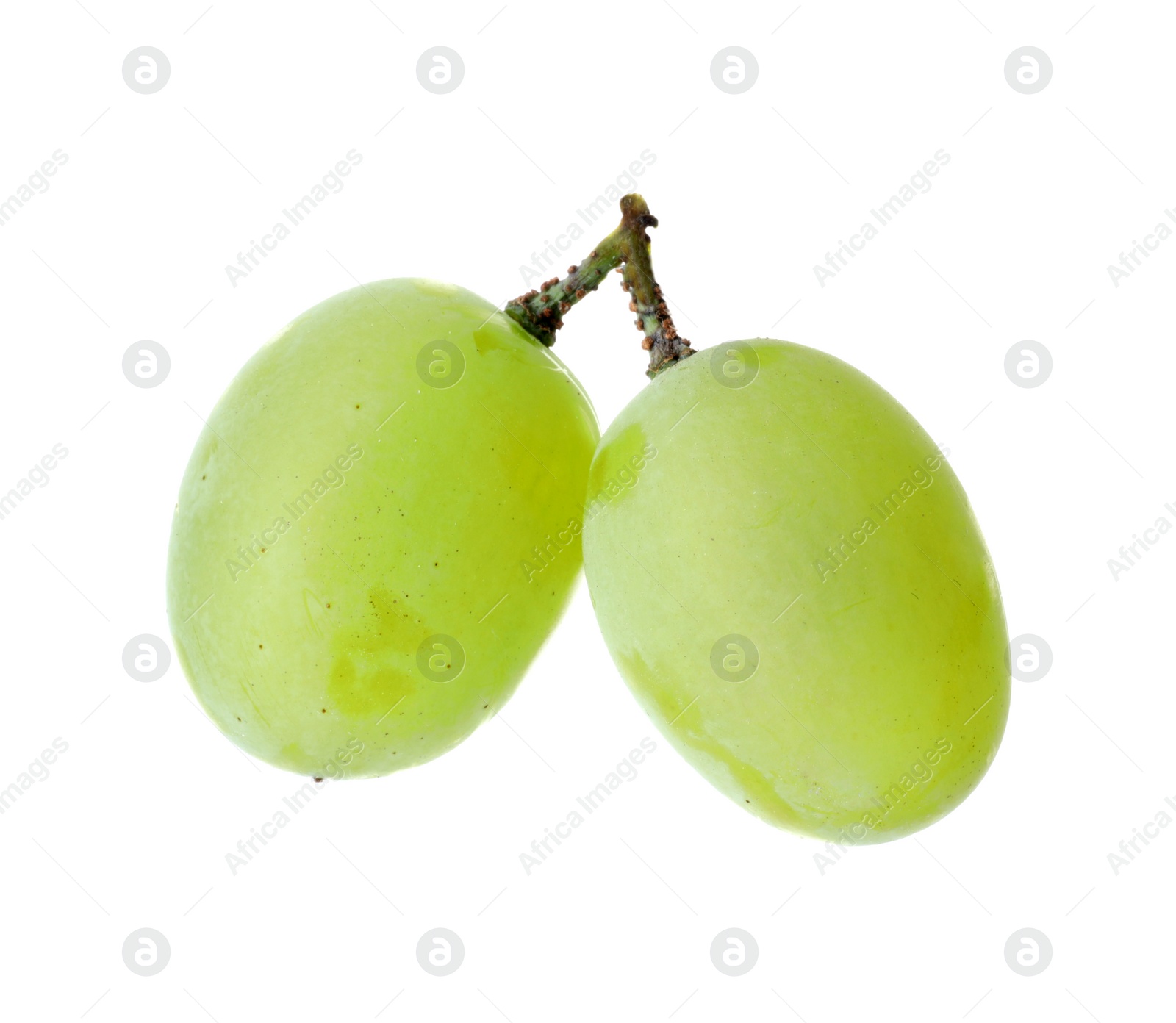 Photo of Two ripe green grapes isolated on white