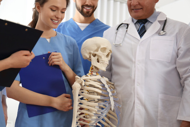 Professional orthopedist with human skeleton model teaching medical students in clinic