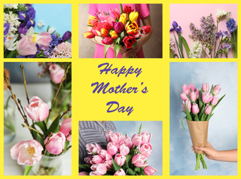 Image of Collage with photos of beautiful flowers and text Happy Mother's Day