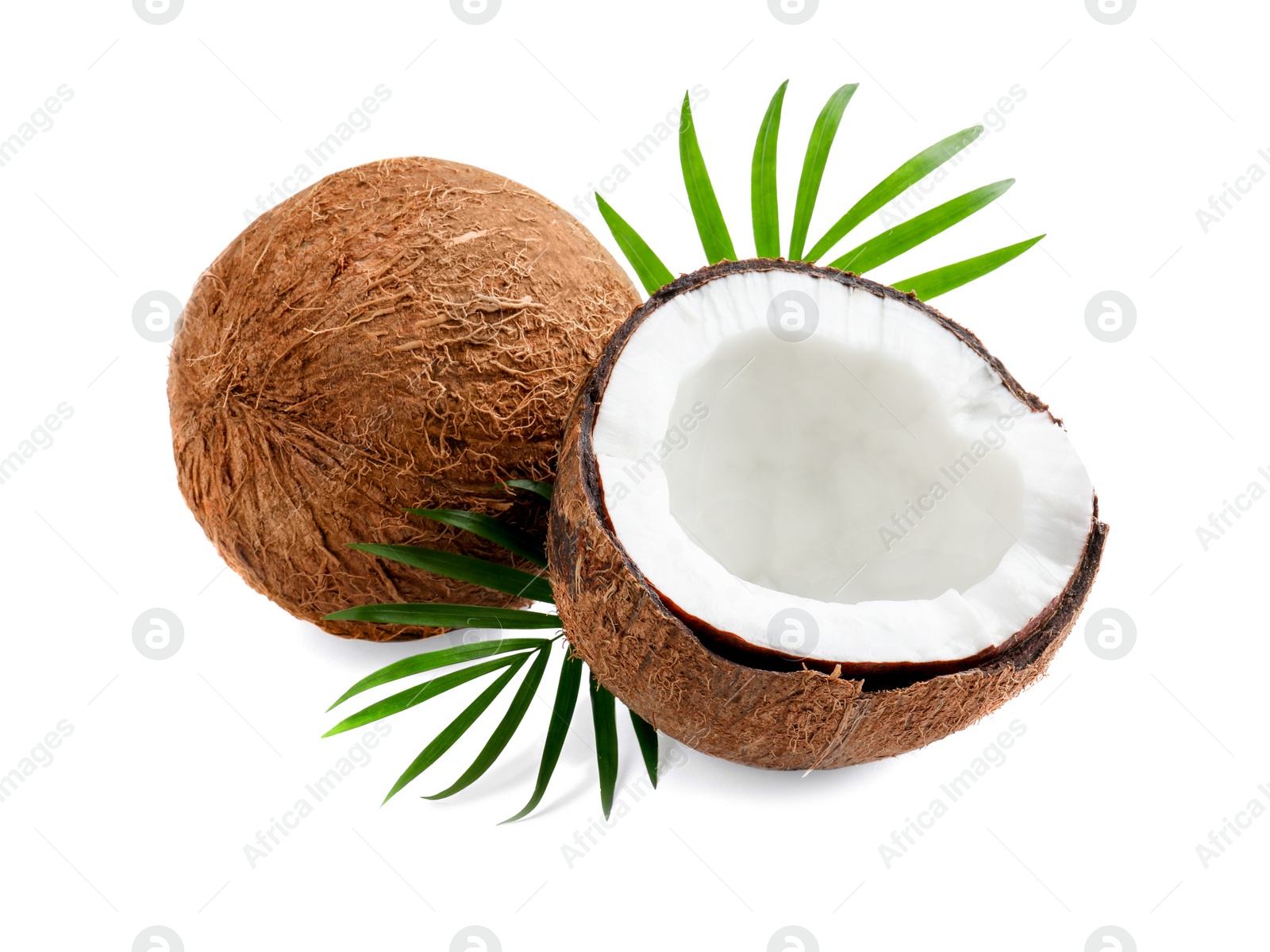 Photo of Fresh ripe coconuts with green leaves on white background