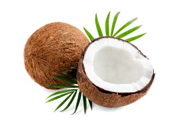 Fresh ripe coconuts with green leaves on white background