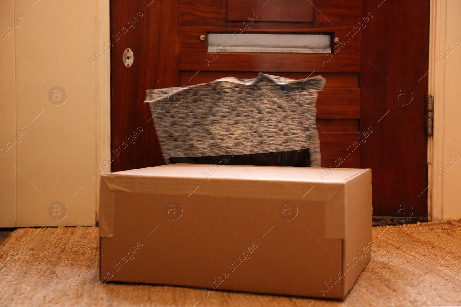 Photo of Delivery service. Plastic bag and cardboard on rug indoors