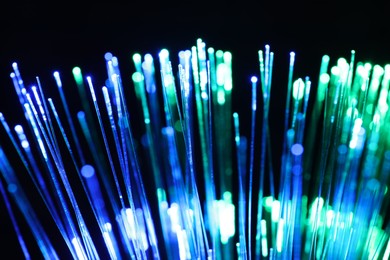 Photo of Optical fiber strands transmitting different color lights on black background, closeup