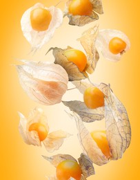 Ripe orange physalis fruits with calyx falling on orange gradient background