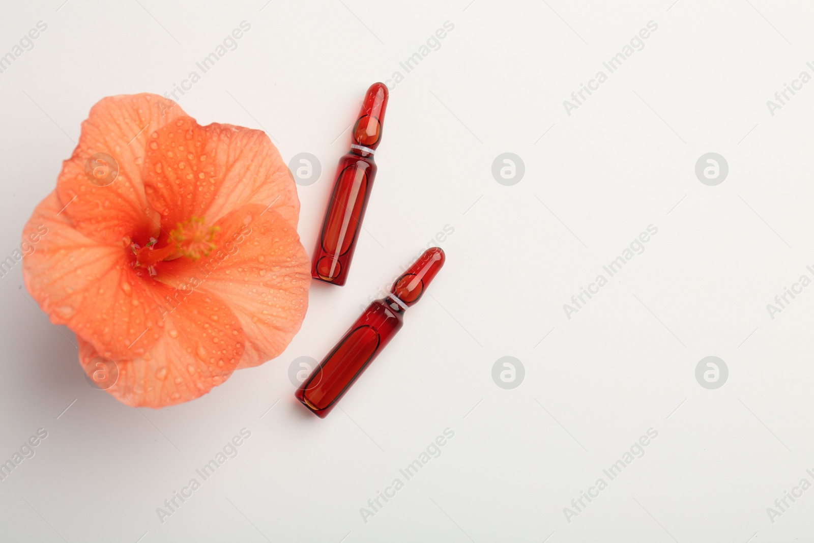 Photo of Skincare ampoules and hibiscus flower with water drops on white background, flat lay. Space for text