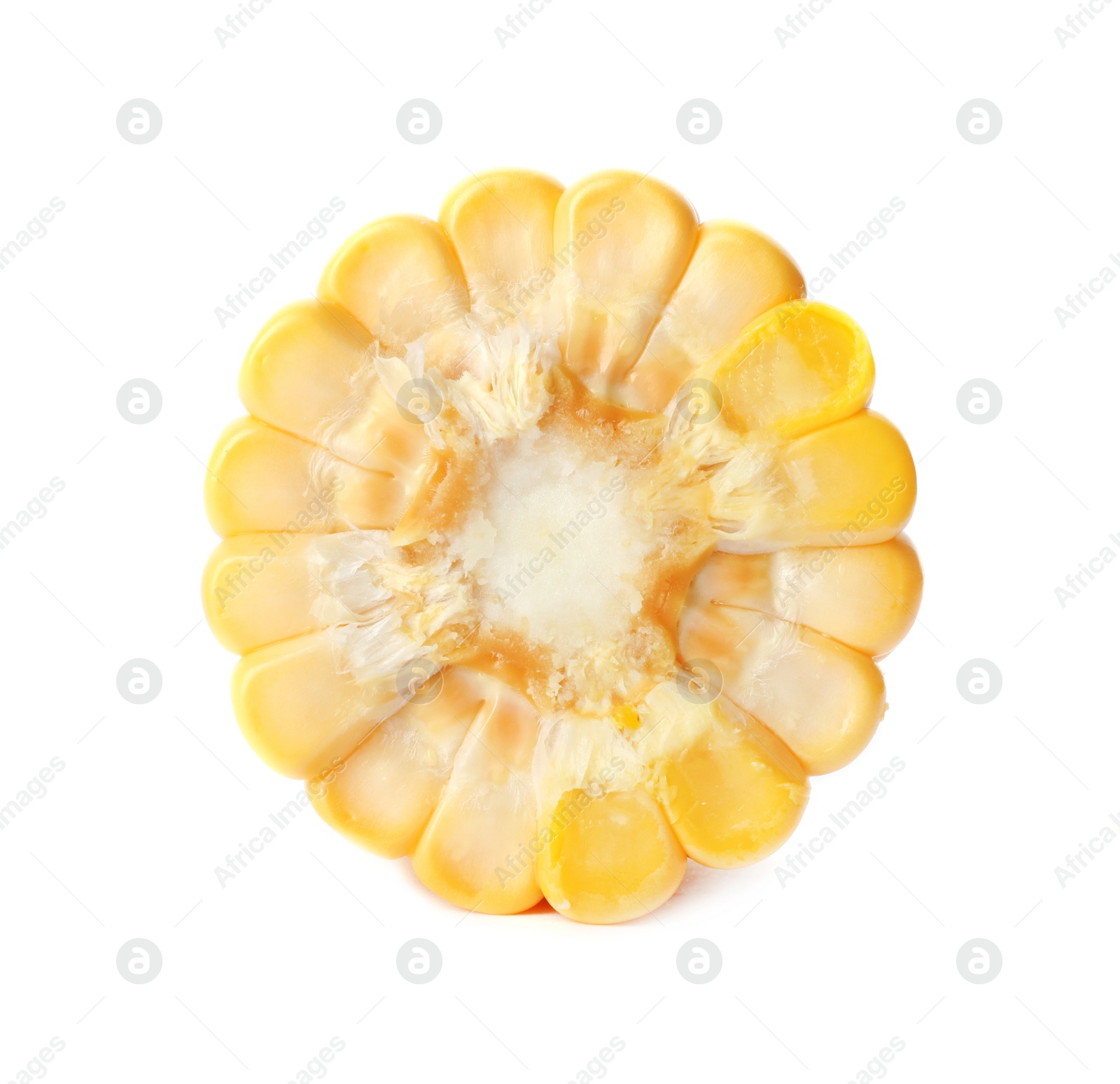 Photo of Tasty sweet corn cob on white background