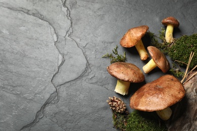 Photo of Flat lay composition with boletus mushrooms on grey background, space for text