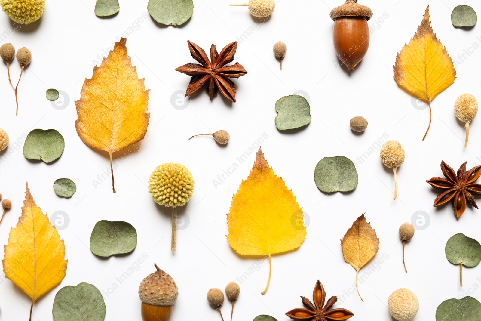 Photo of Flat lay composition with autumn leaves on white background