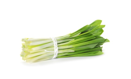 Photo of Bunch of wild garlic or ramson isolated on white