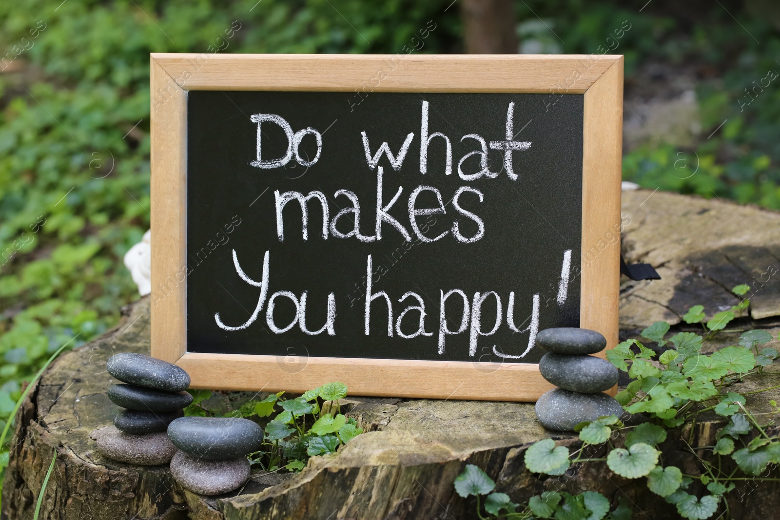 Photo of Chalkboard with phrase Do What Makes You Happy on stump outdoors