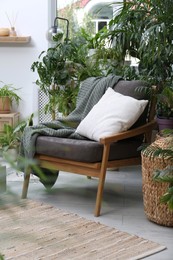 Comfortable armchair and beautiful houseplants in room. Lounge area interior