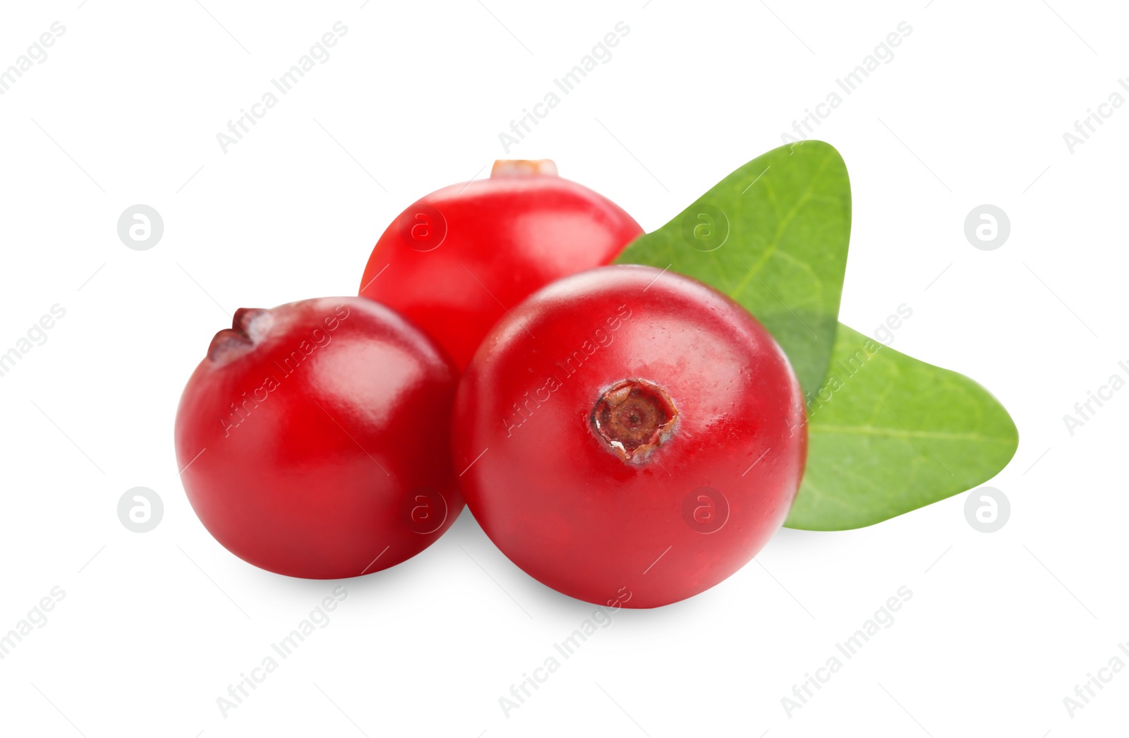 Photo of Fresh ripe cranberries with leaves isolated on white