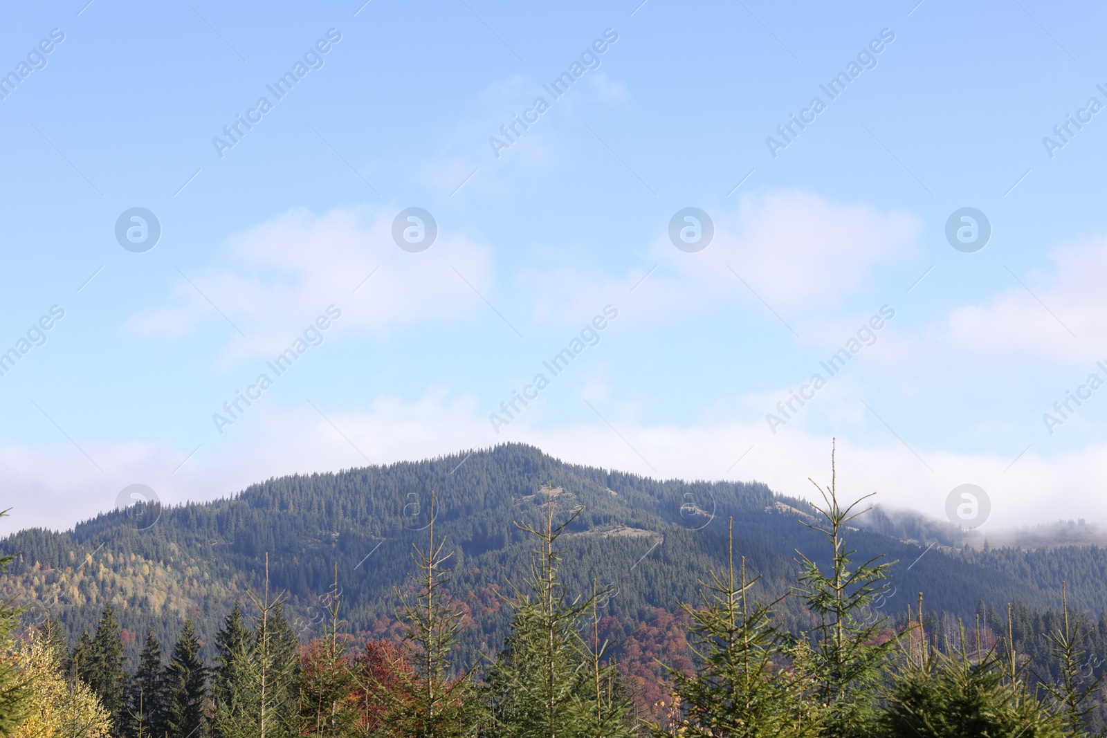 Photo of Beautiful mountain landscape with forest on sunny autumn day