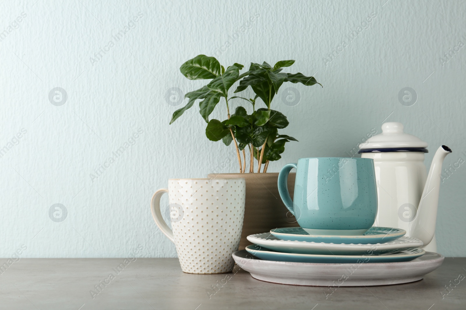 Photo of Potted plant and set of kitchenware on grey table near light wall, space for text. Modern interior design