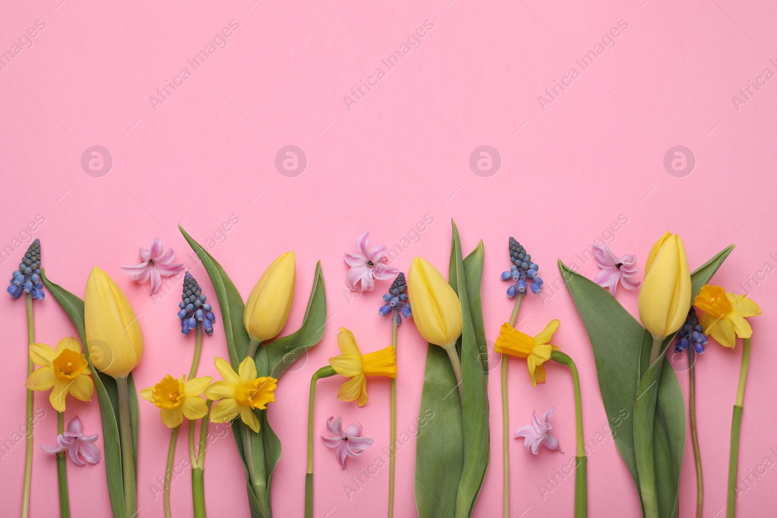 Photo of Beautiful different flowers on pink background, flat lay. Space for text