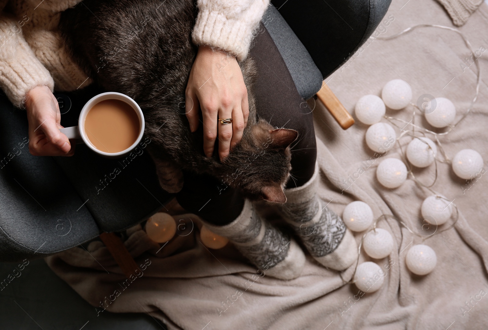 Photo of Woman in warm sweater with cute cat sitting in armchair, top view