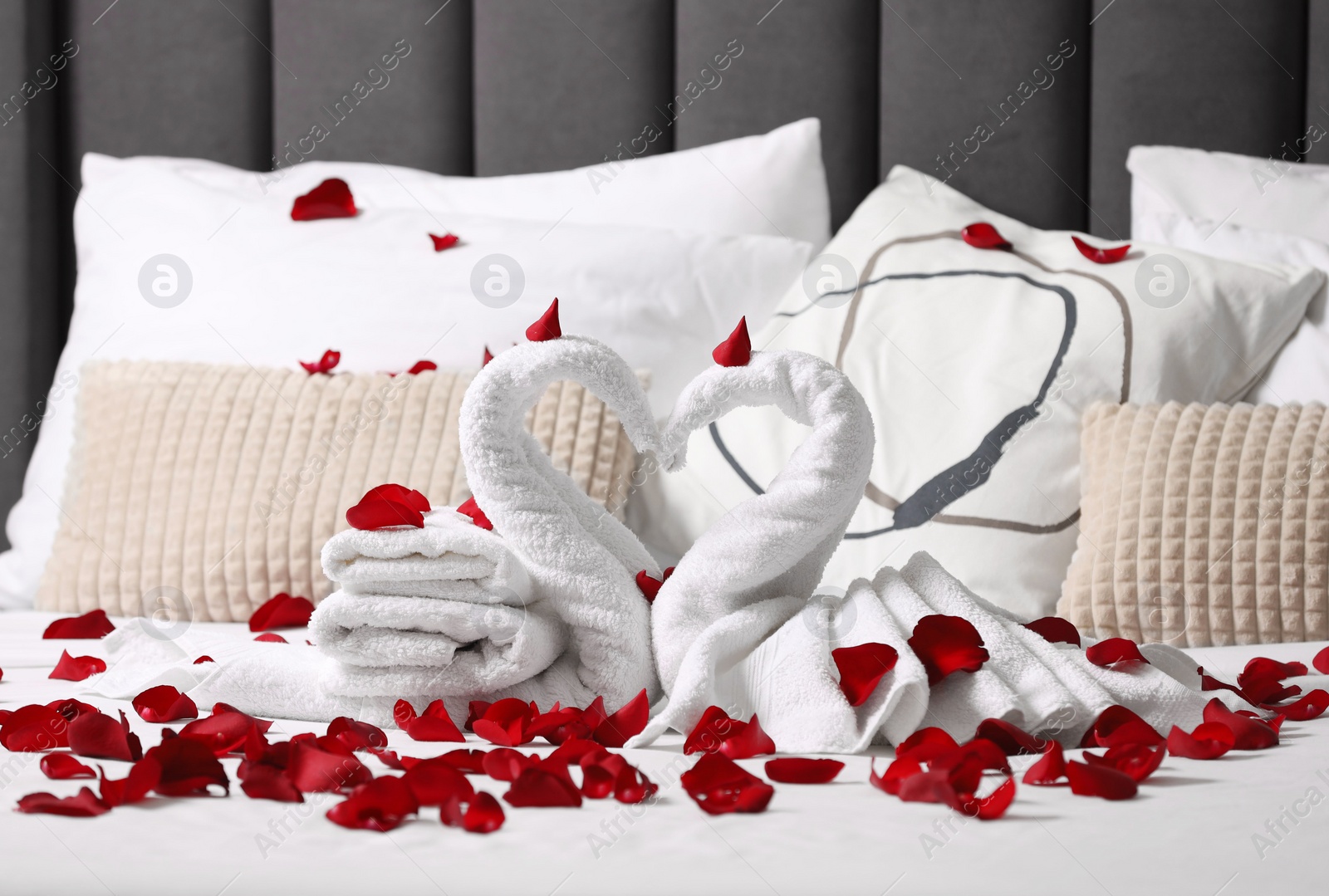 Photo of Honeymoon. Swans made with towels and beautiful rose petals on bed