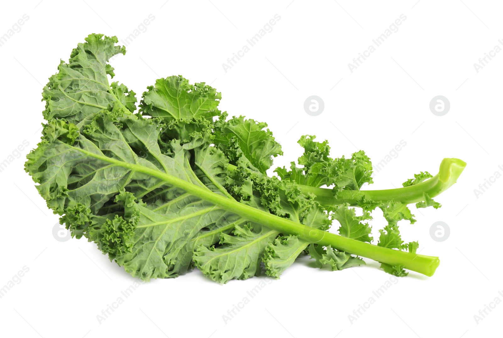 Photo of Fresh green kale leaves isolated on white