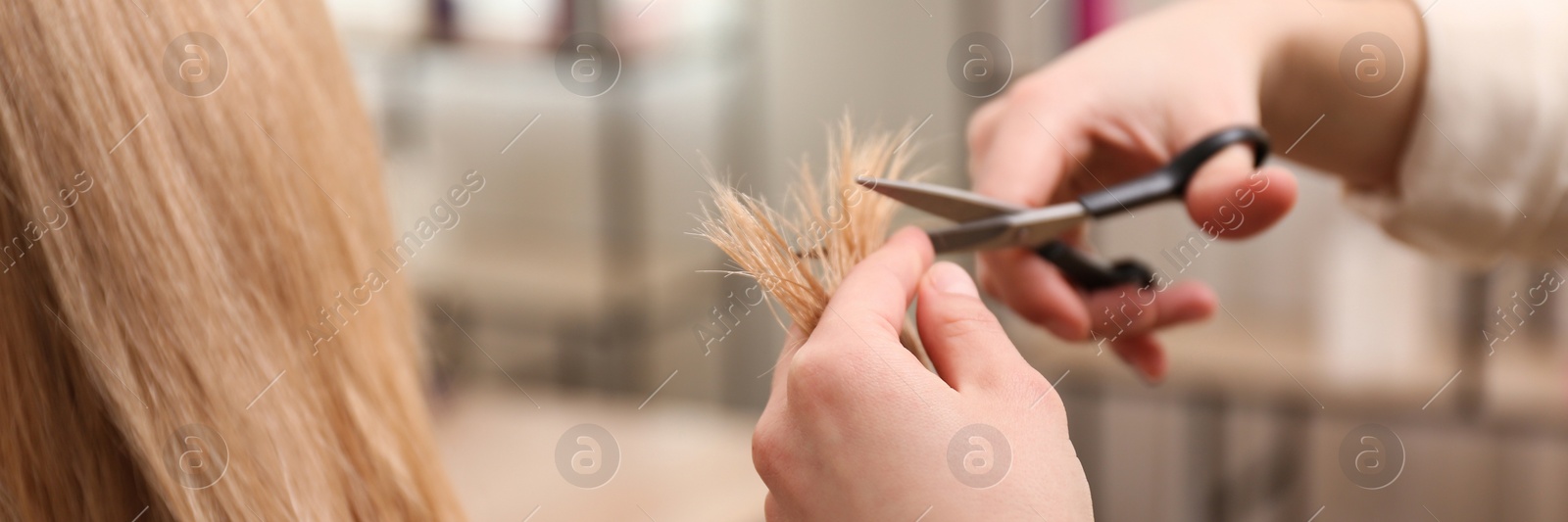 Image of Stylist cutting hair of client in professional salon, closeup. Banner design