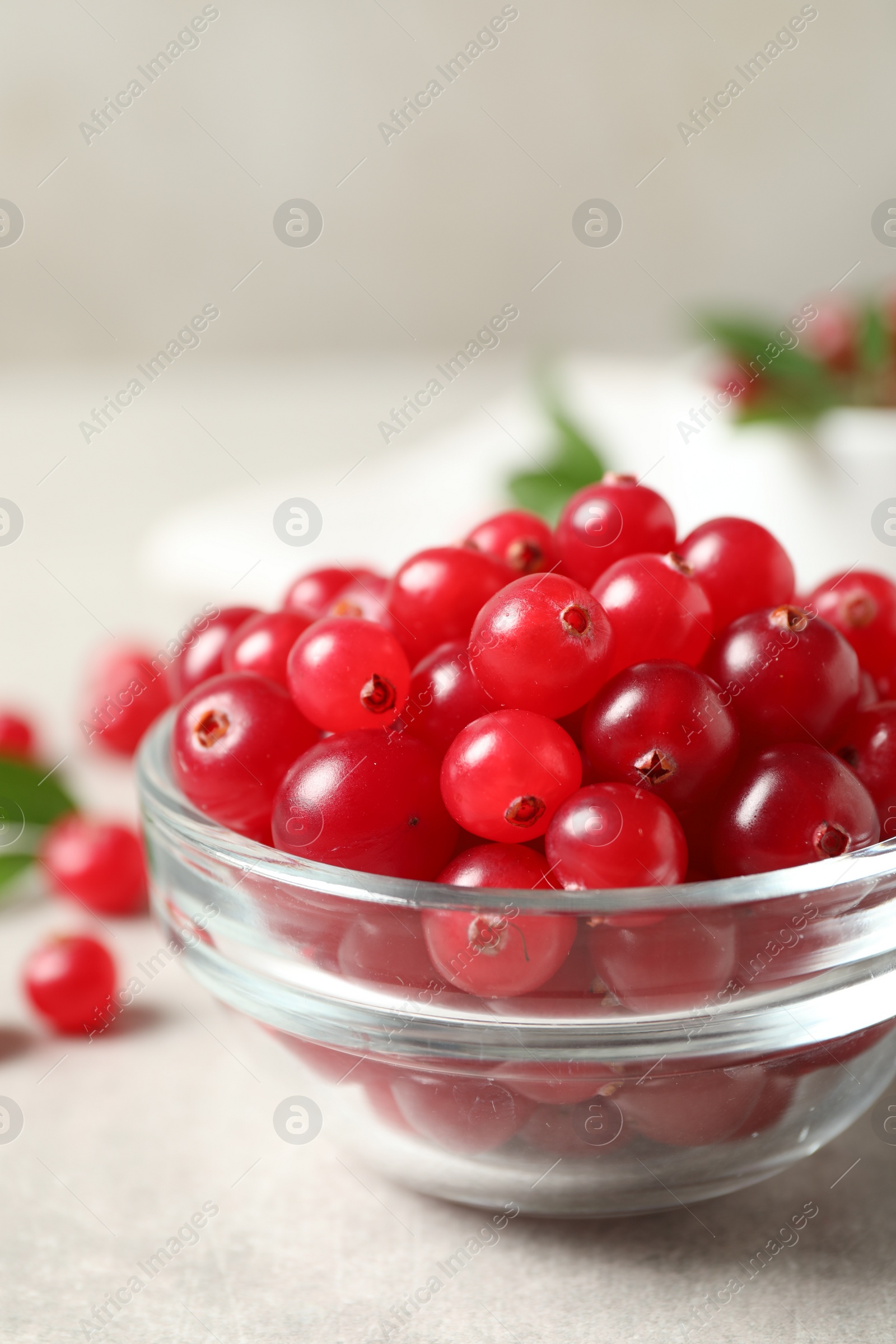 Photo of Fresh cranberry in bowl on light table