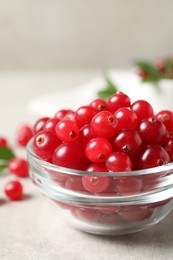 Photo of Fresh cranberry in bowl on light table