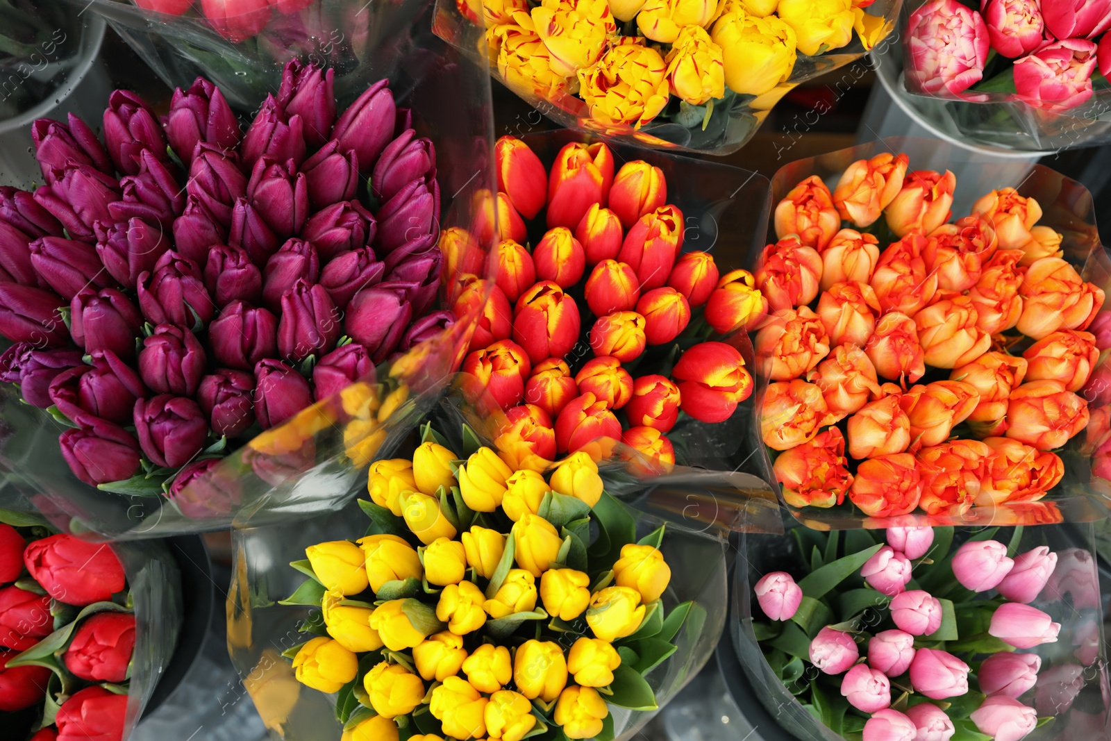 Photo of Assortment of bright flowers in shop, above view. Floral decor