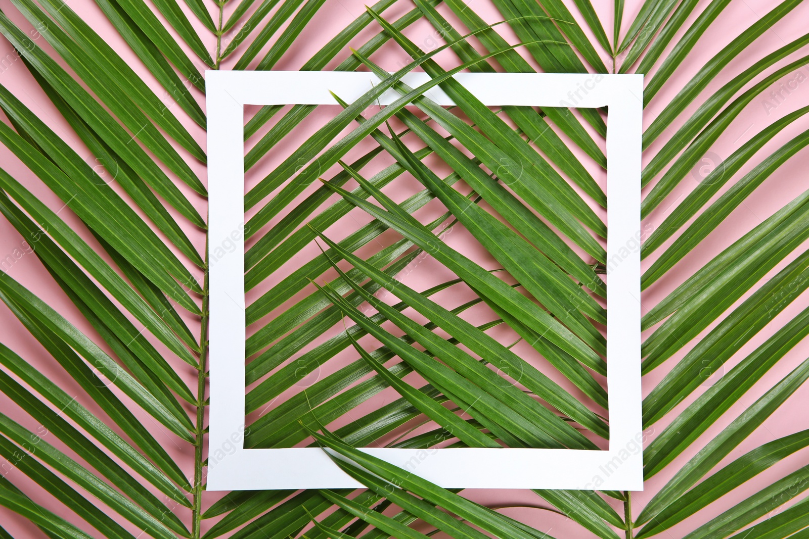 Photo of Flat lay composition with tropical leaves on color background