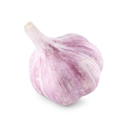 Photo of Fresh raw garlic head isolated on white