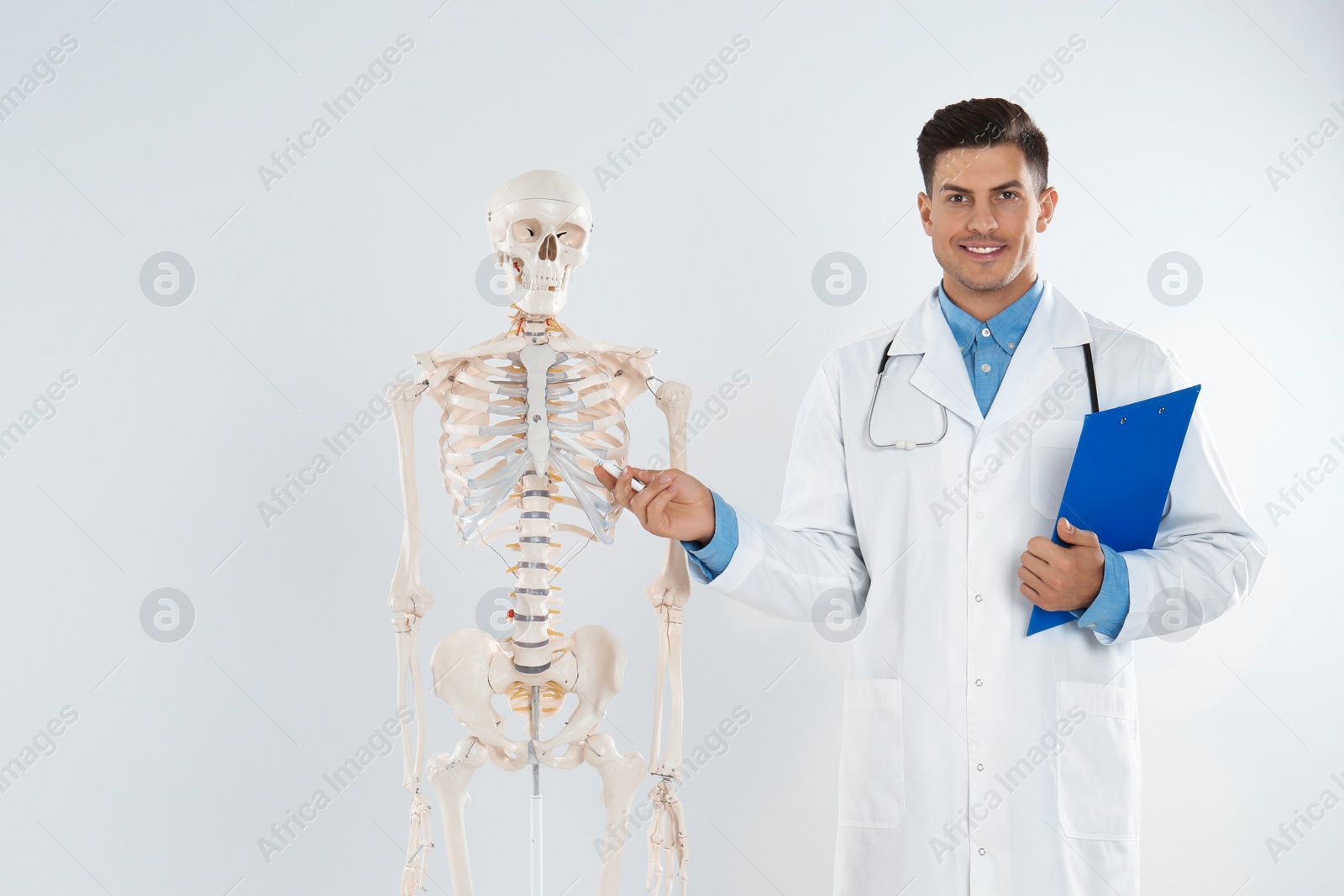 Photo of Male orthopedist with human skeleton model against light background