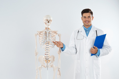 Male orthopedist with human skeleton model against light background