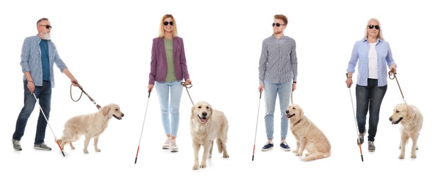 Image of Blind people with long canes and guide dogs on white background. Banner design
