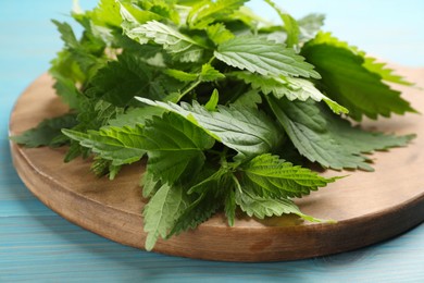 Photo of Wooden board with fresh stinging nettle leaves on light blue table, closeup