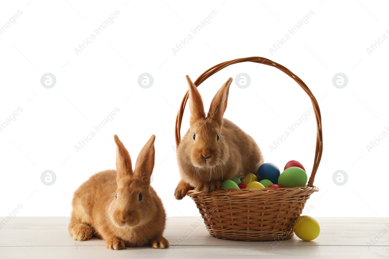 Photo of Cute bunnies and basket with Easter eggs on table against white background