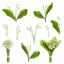 Image of Collage with beautiful lilies of the valley on white background