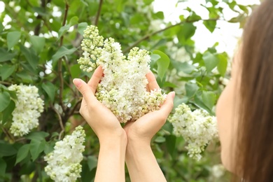 Photo of Young woman with blossoming lilac outdoors on spring day