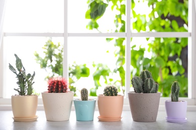 Photo of Beautiful different cacti in pots on windowsill