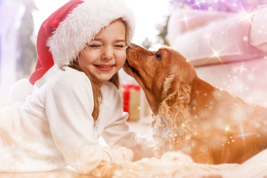 Image of Cute little girl in Santa hat with English Cocker Spaniel at home. Magical Christmas atmosphere
