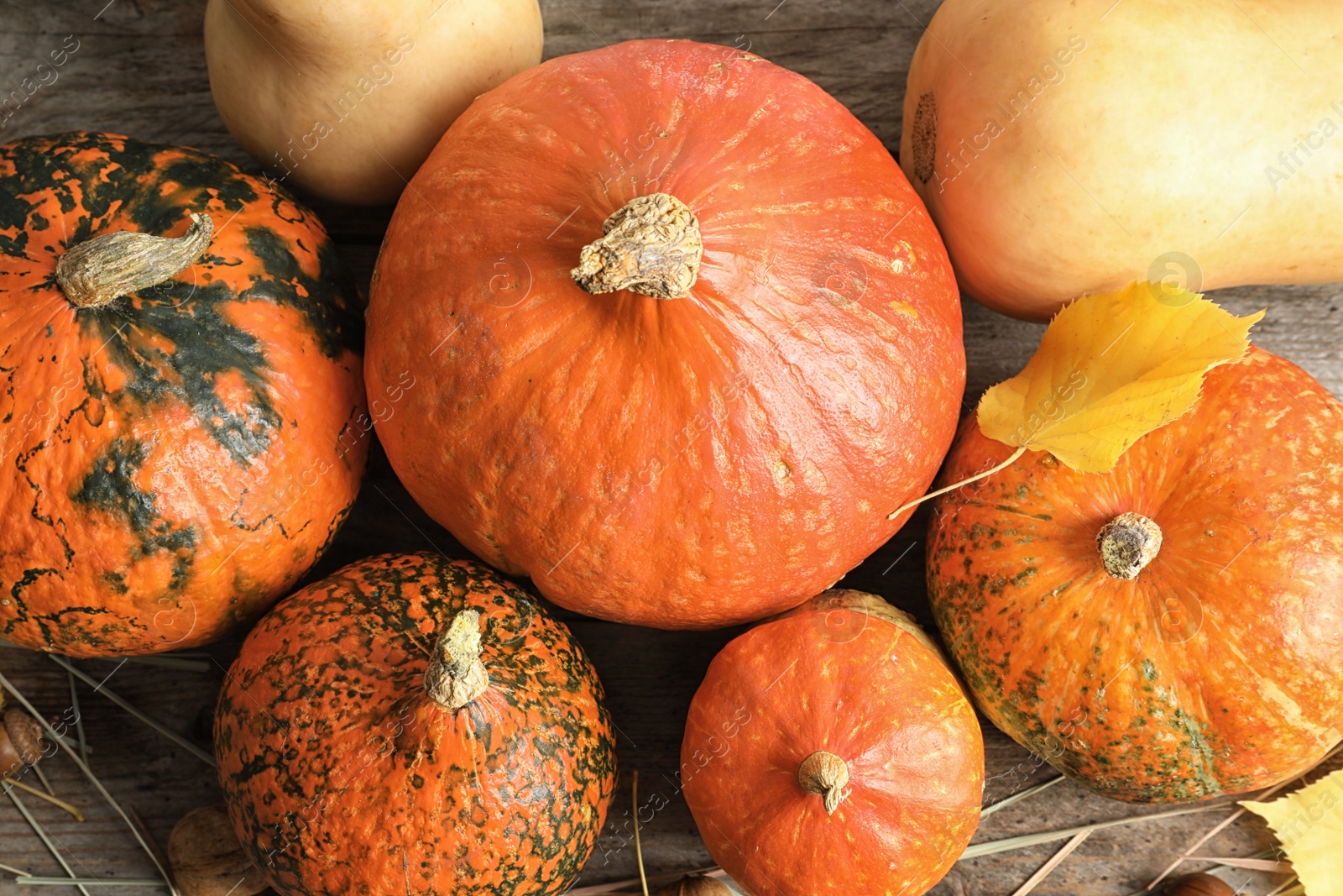 Photo of Many different pumpkins on wooden table, top view. Autumn holidays