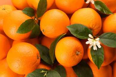 Photo of Fresh ripe oranges with green leaves and flower as background, top view